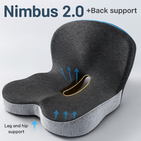 Nimbus 2.0 — All-Day Comfort Support