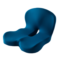 Nimbus 2.0 — All-Day Comfort Support